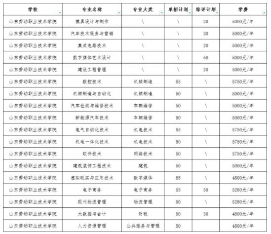 山東勞動(dòng)職業(yè)技術(shù)學(xué)院2024單招和綜評(píng)招生專業(yè)及計(jì)劃