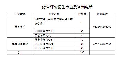 青岛职业技术学院2024年高职（专科）单独招生和综合评价招生章程