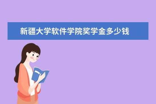 新疆大學軟件學院獎學金多少錢  新疆大學軟件學院獎學金設置情況