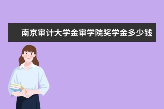 南京審計大學金審學院獎學金多少錢  南京審計大學金審學院獎學金設置情況