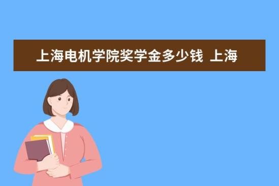 上海電機學院獎學金多少錢  上海電機學院獎學金設置情況