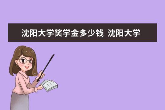 沈陽大學(xué)獎(jiǎng)學(xué)金多少錢  沈陽大學(xué)獎(jiǎng)學(xué)金設(shè)置情況