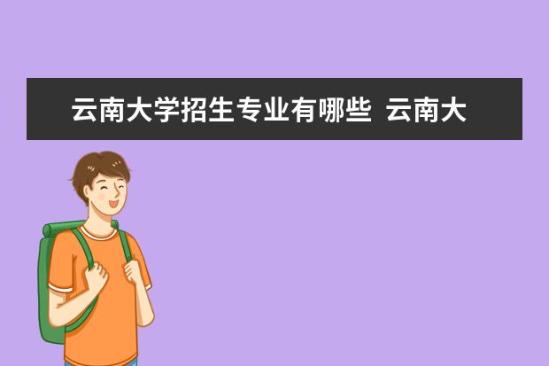 云南大學(xué)招生專業(yè)有哪些  云南大學(xué)專業(yè)目錄大全