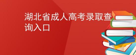 湖北省成人高考录取查询入口