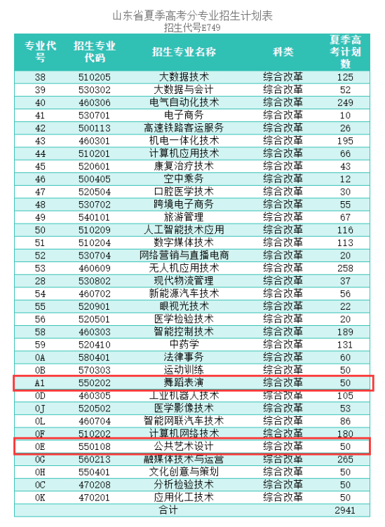 2024滨州科技职业学院艺术类招生计划-各专业招生人数是多少