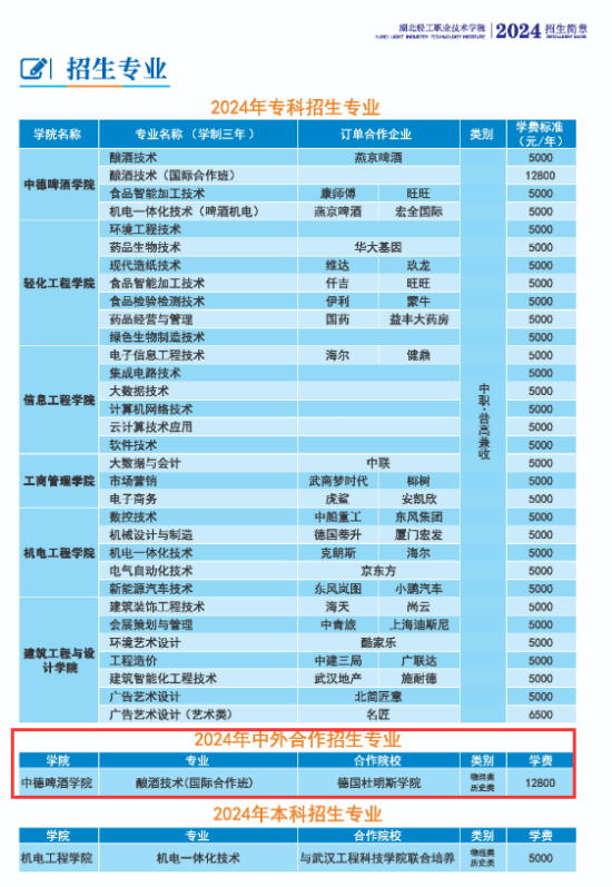 湖北輕工職業(yè)技術(shù)學(xué)院中外合作辦學(xué)專(zhuān)業(yè)有哪些？