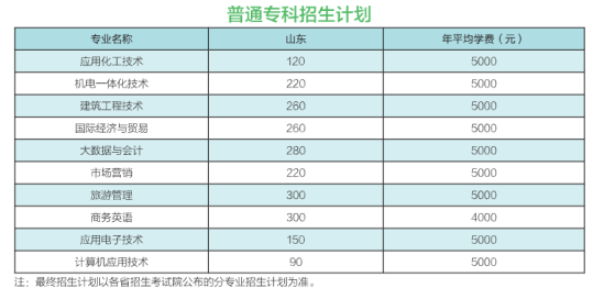 泰山學(xué)院有?？茖I(yè)嗎