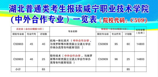 2024咸寧職業(yè)技術學院中外合作辦學招生計劃-各專業(yè)招生人數(shù)是多少